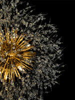 Starburst Gold Chandelier 32" Wide Crystal Lighting Fixture