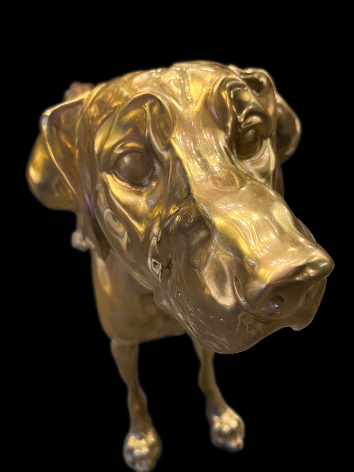 Frontal close-up of the detailed face of the handcrafted Italian solid brass Pointer dog.