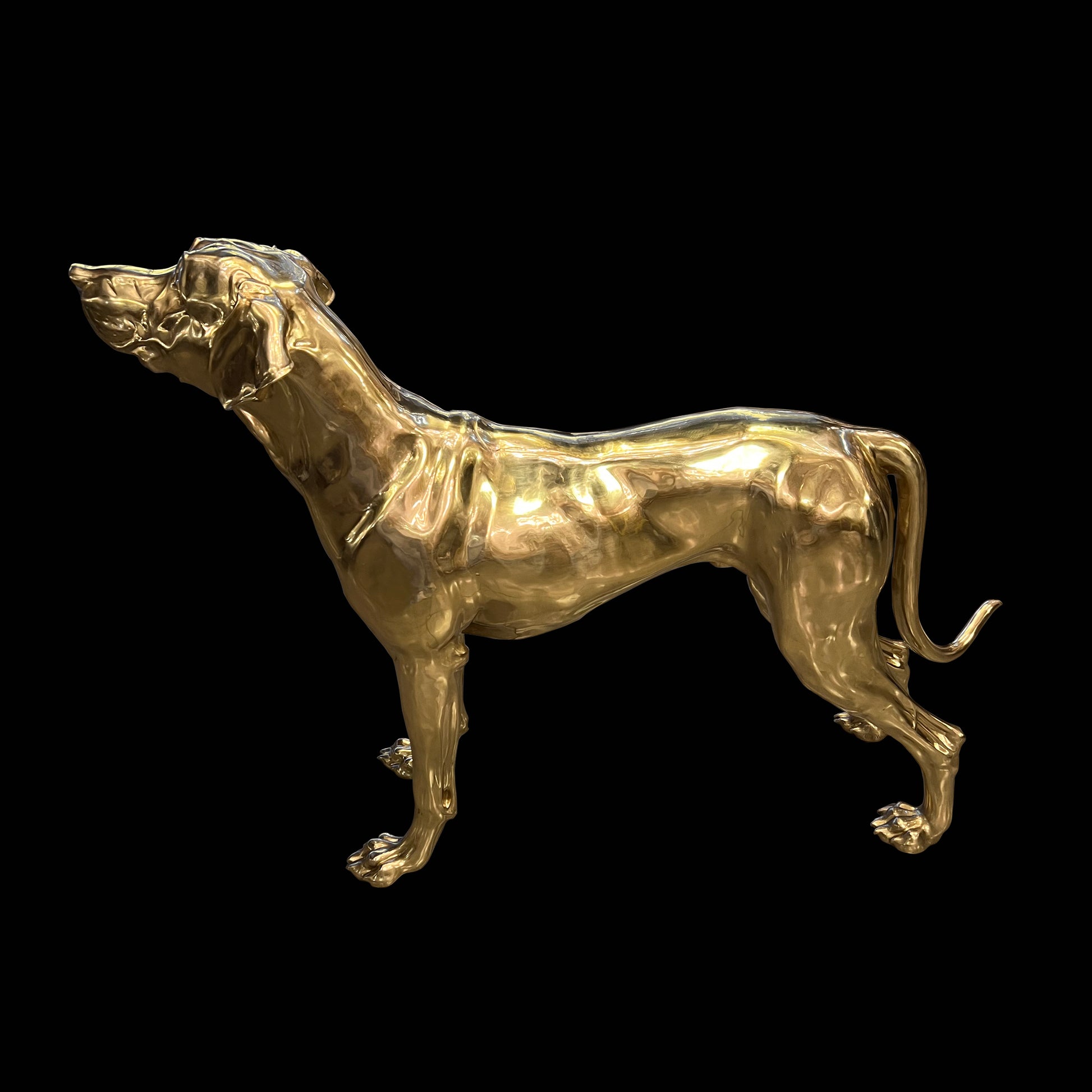 Professional handcrafted Italian solid brass Pointer dog sculpture with a polished gold finish.
