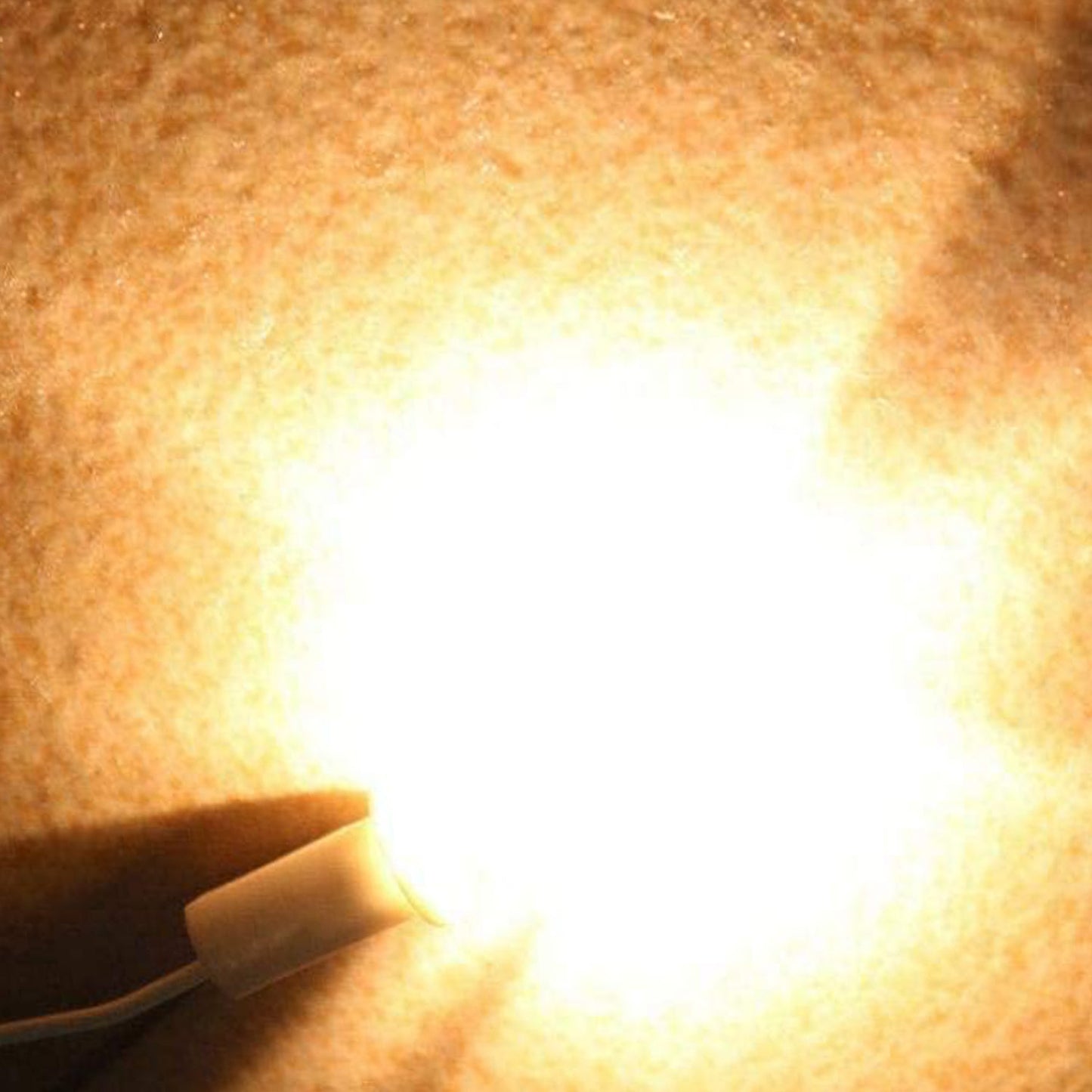 (10 Pack) G5.3 Halogen Bulbs – 20W, 110V, Dimmable, 2700K Warm White