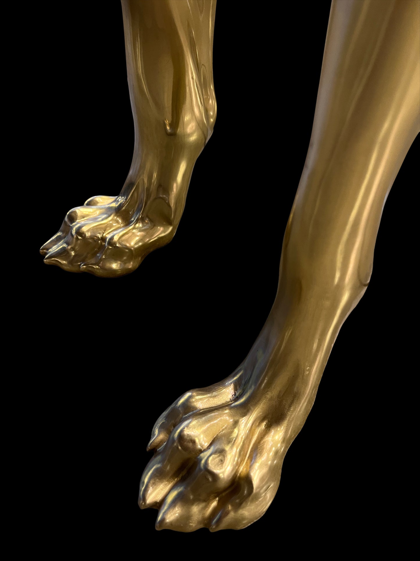  Expertly handcrafted brass legs of the Italian Pointer dog statue highlighting the gold finish.